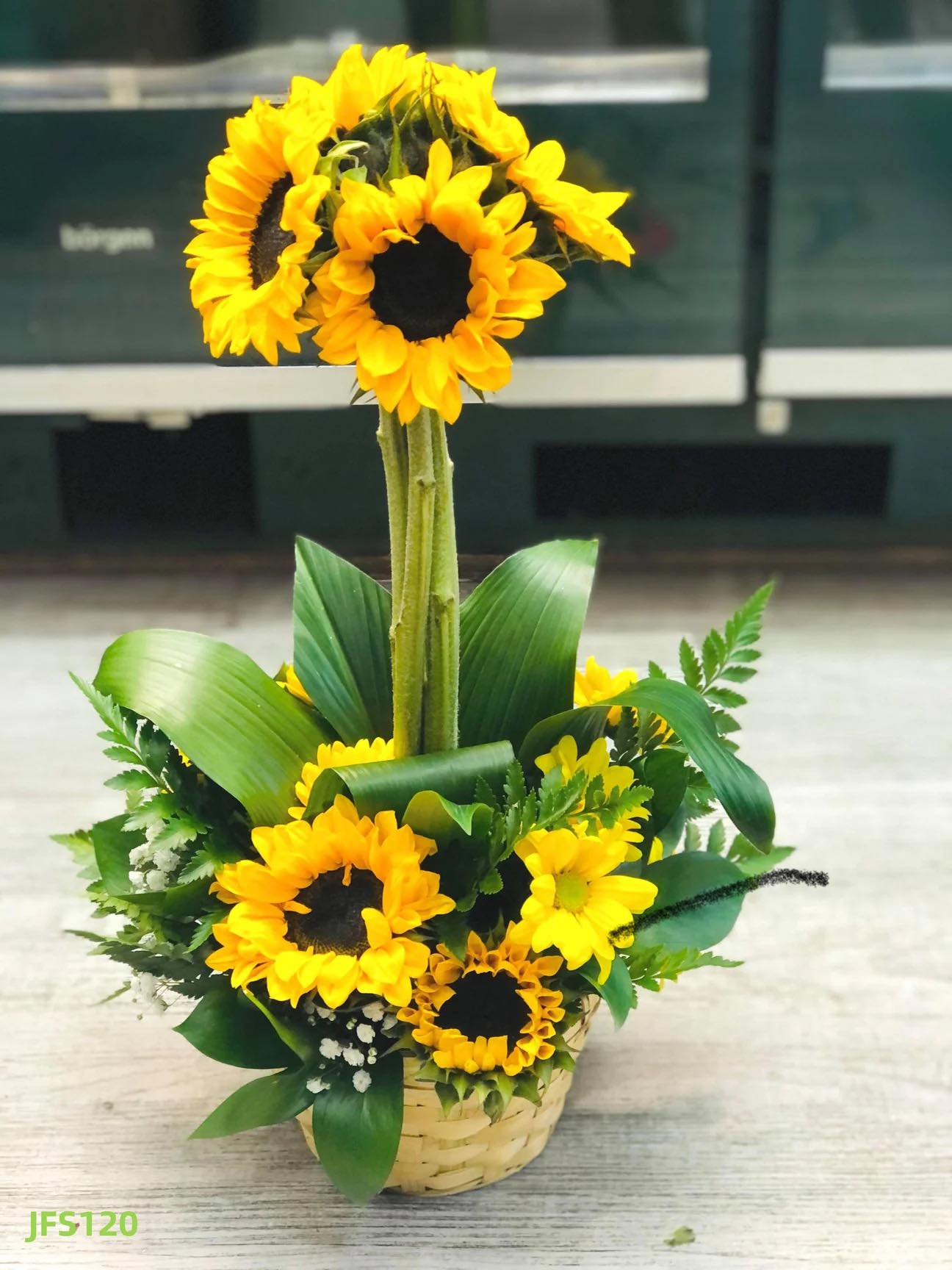 Girasol Radiante/EFE120