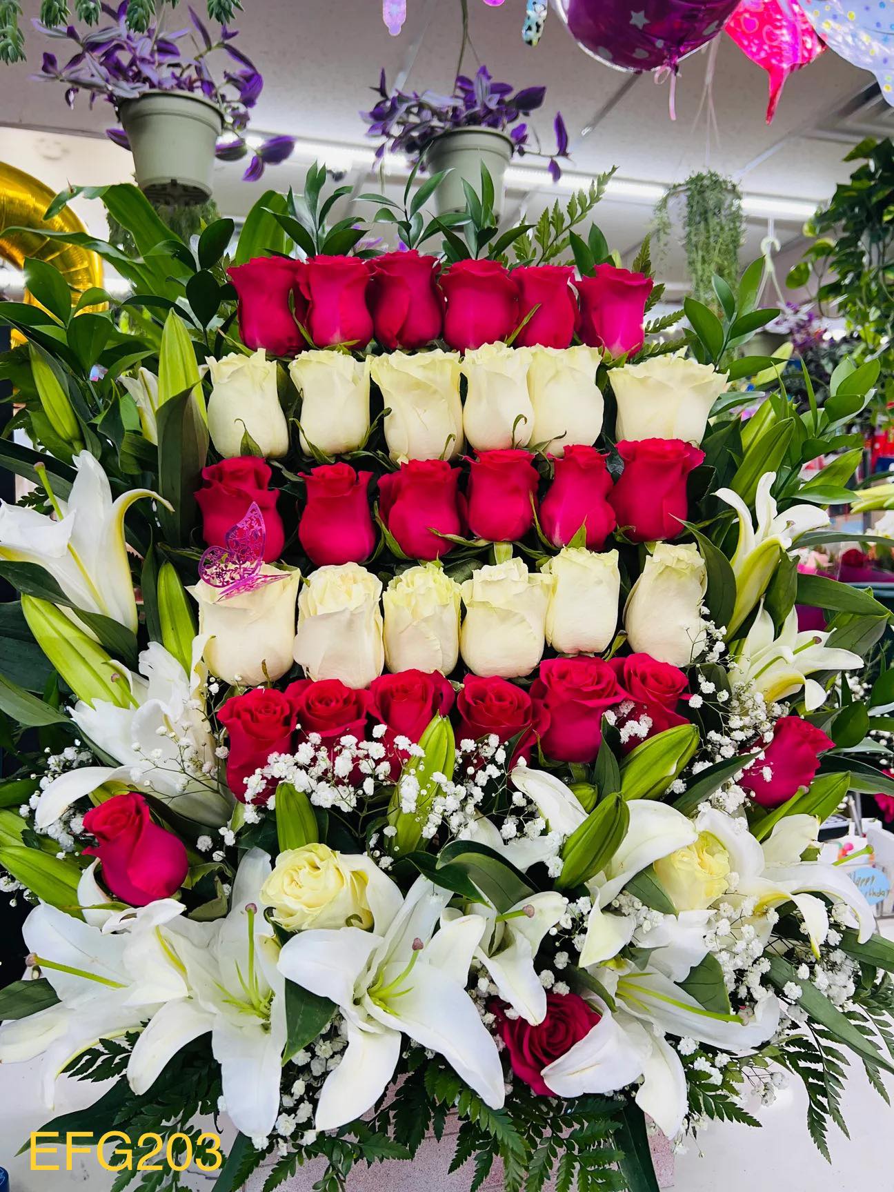 Rojo y Blanco/EFE203