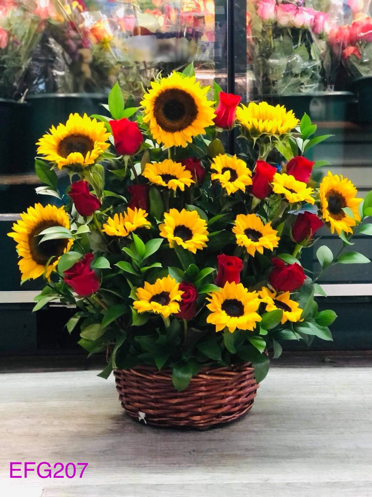 Sol de Amor/EFE207