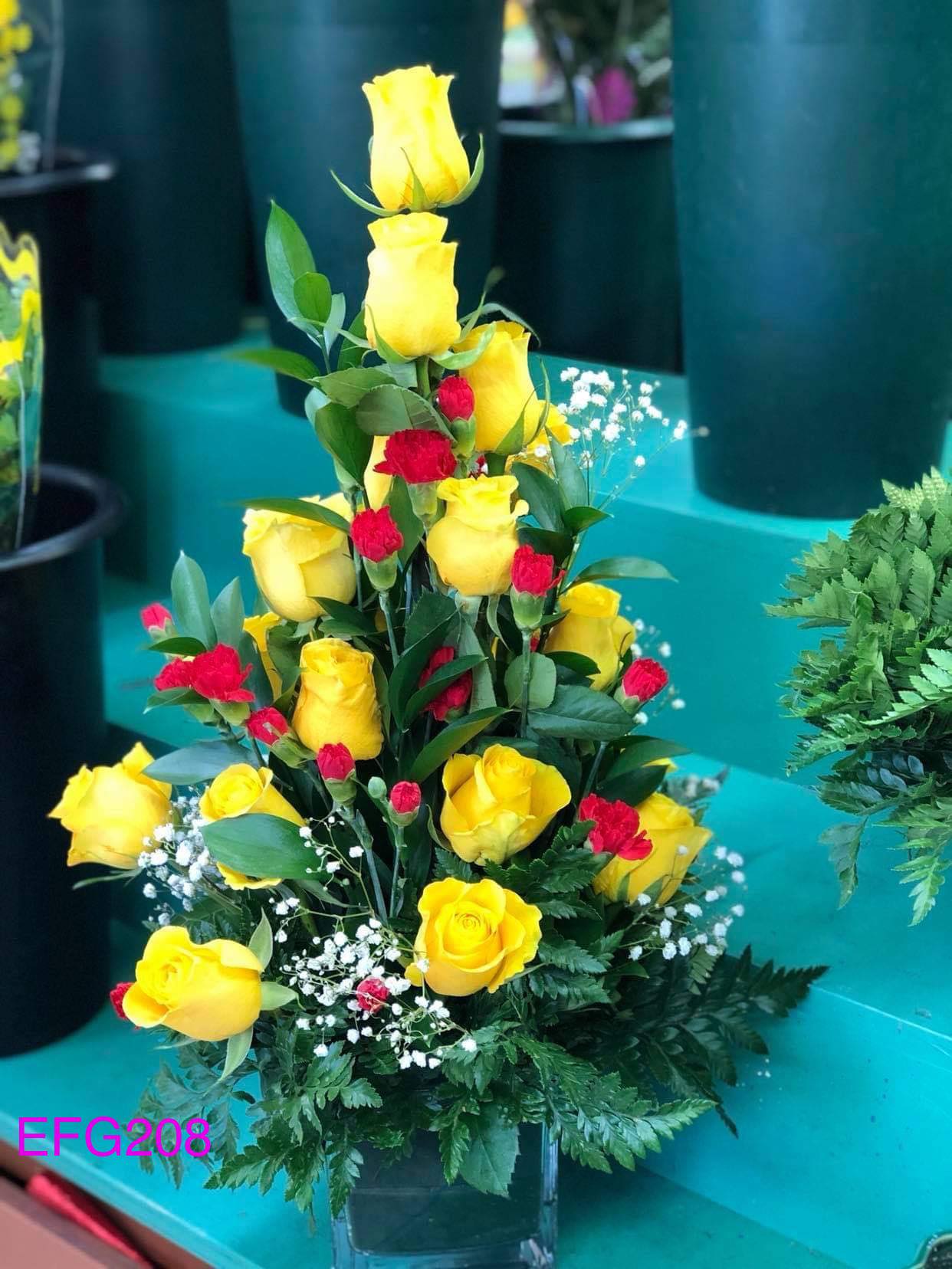 Amarillo Amanecer/ EFE208