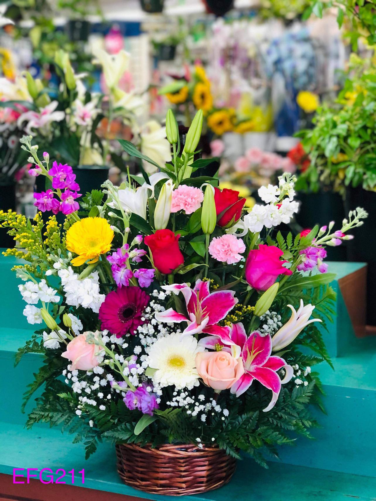 Color con Amor/EFE211